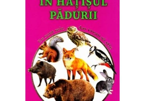 In hatisul padurii. Eu sunt mic, dar vreau sa stiu