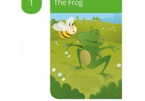 The frog