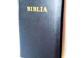 Biblia de studiu pentru copii. Coperta piele gri, LPI144