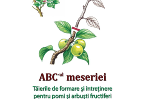 ABC-ul meseriei – Taierile de formare si intretinere pentru pomi si arbusti fructiferi si ornamentali