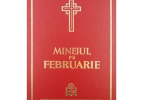 Mineiul pe februarie