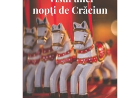 Visul unei nopti de Craciun - Ramona Maria Bochie