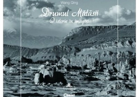 Drumul matasii. O istorie in imagini - Wang Qing