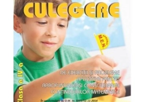 Culegere de exercitii si probleme aplicative pentru aprofundarea si consolidarea continuturilor matematice. Clasa a 4-a - Alexandra Manea