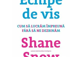 Echipe de vis. Cum sa lucram impreuna fara sa ne dezbinam