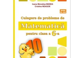 Culegere de probleme de matematica PUISORUL clasa a 6-a - Ioana Monalisa Manea