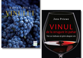 Pachet Marea carte a vinului + Vinul de la strugure in pahar