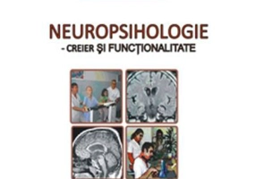 Neuropsihologie. Creier si functionalitate - Eugen Avram, coord.