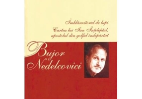 Opere complete 3 - Bujor Nedelcovici