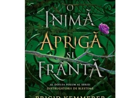 O inima apriga si franta (vol. 2 din seria Distrugatorii de blesteme) - Brigid Kemmerer