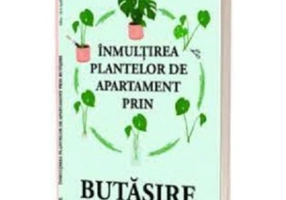 Inmultirea plantelor de apartament prin butasire