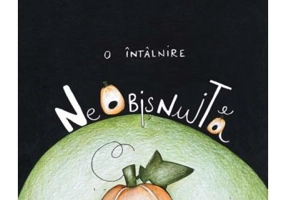 O intalnire neobisnuita - Flavia Chiper, Dana Cristina Maier