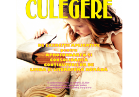 Culegere de exercitii aplicative pentru aprofundarea si consolidarea continuturilor de comunicare in limba romana. Clasa a 3-a - Alexandra Manea