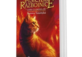 Cartea 26 Pisicile Razboinice. Zorii clanurilor. Puterea Tunetului - Erin Hunter