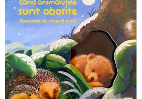 Cand animalutele sunt obosite-Poezioare de noapte buna