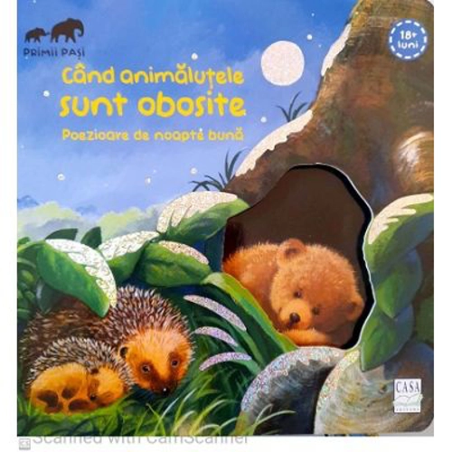 Cand animalutele sunt obosite-Poezioare de noapte buna