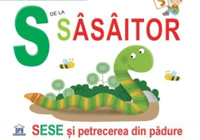 S de la Sasaitor. Cartonata - Greta Cencetti