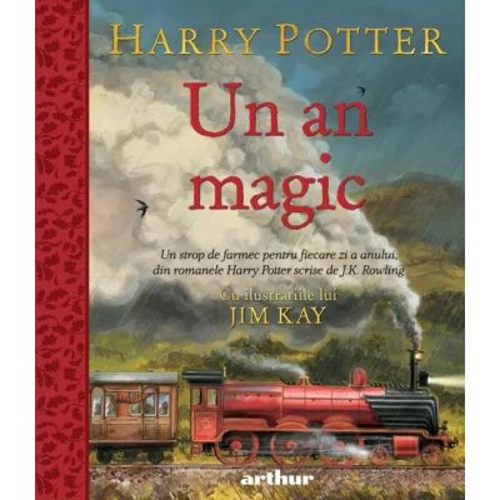 Harry Potter. Un an magic