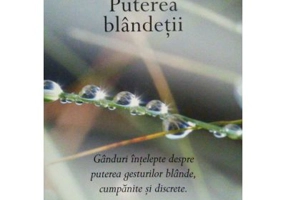 Puterea blandetii