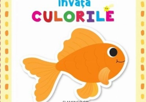 Invata culorile