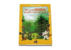 De ce are Bradul frunzele verzi tot timpul - Noemi Costache