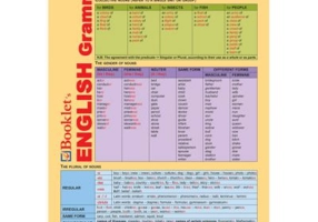 Limba engleza Pliant English Grammar 5