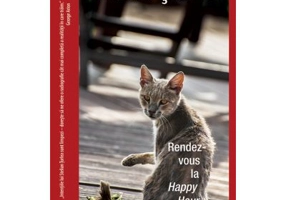 Rendez-vous la Happy Hour - Stelian Turlea