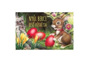 Nyul Berci elso husvetja. Iepuras Bulgaras