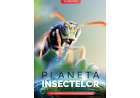 Planeta insectelor