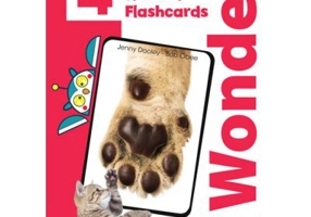 Curs limba engleza iWonder 4 Picture si Word Flashcards - Jenny Dooley, Bob Obee