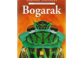 Gaze. Limba maghiara