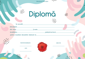 Diploma pentru rezultate deosebite (DZC03)