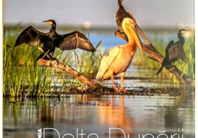 Album Delta Dunarii. The Danube Delta - Florin Andreescu, Dana Ciolca