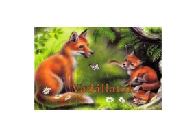 Vadallatok. Animale salbatice pliant - Preszter Norbert