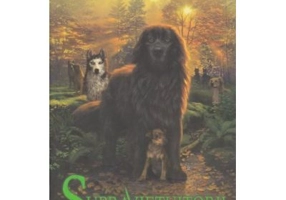 Supravietuitorii Caderea Intunericului Cartea a III-a - Erin Hunter