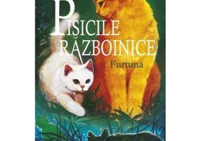 Pisicile Razboinice. Furtuna Cartea 4 - Erin Hunter