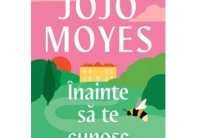 Inainte sa te cunosc