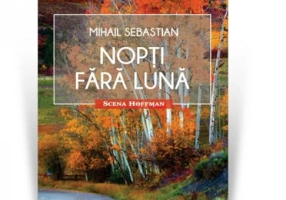 Nopti fara luna. Colectia Scena Hoffman