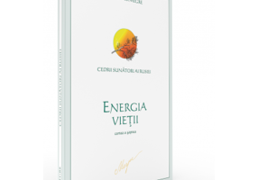 Cedrii sunatori ai Rusiei. Cartea 7. Energia vietii