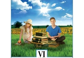 Limba si literatura romana, manual pentru clasa a 6-a - Mariana Norel