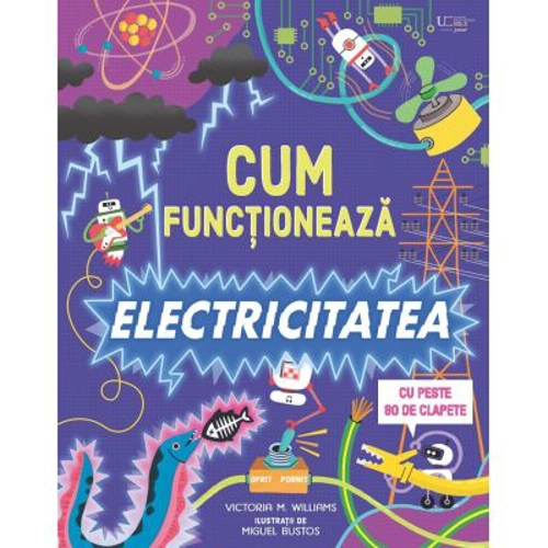 Cum functioneaza electricitatea (Usborne)