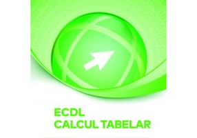 ECDL. Calcul Tabelar. Microsoft Excel 2019 - Ionut Danaila