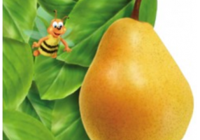 Para. Colectia Primii pasi - Arcadie Suceveanu