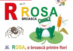 R de la Rosa, broasca. Necartonata - Greta Cencetti