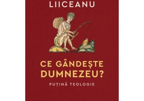 Ce gandeste Dumnezeu? Putina teologie - Gabriel Liiceanu