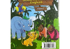 Comunicare in limba moderna 1. Engleza Clasa 1. Flashcards