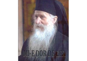 Mi-e dor de cer. Viata parintelui Ioanichie Balan