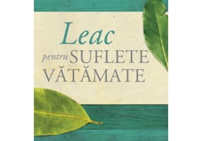 Leac pentru suflete vatamate. Vindecare de ranile din trecut - David A. Seamands