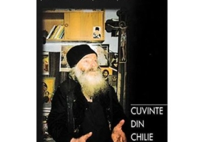 Cuvinte din chilie. Convorbiri cu pr. Proclu Nicau, pustnicul din Muntii Neamtului - Fabian Anton