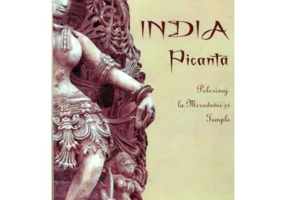 India picanta - Pelerinaj la Mirodenii si Temple